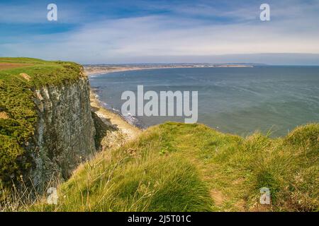 Blick vom Gipfel der Buckton Cliffs bei Bempton, North Yorkshire, blickt man nach Norden in Richtung Filey und Filey Bay. Stockfoto