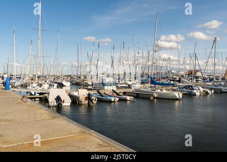 Segelboote und Yachten auf dem Pier in der Bucht. Das Wasser der Ostsee reflektiert das Sonnenlicht. Viele Segelmasten vor dem blauen Himmel Stockfoto