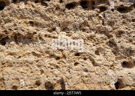 Die Oberfläche des gelben Muschelsteins in Nahaufnahme. Hintergrund für das Design. Platz für Text. Stockfoto