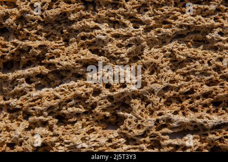 Die Oberfläche des gelben Muschelsteins in Nahaufnahme. Hintergrund für das Design. Platz für Text. Stockfoto