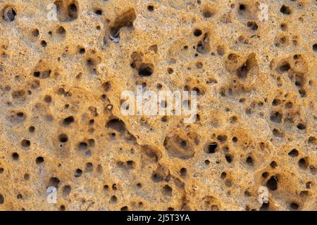 Die Oberfläche des gelben Muschelsteins in Nahaufnahme. Hintergrund für das Design. Platz für Text. Stockfoto