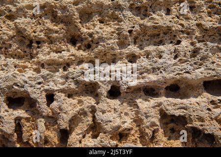 Die Oberfläche des gelben Muschelsteins in Nahaufnahme. Hintergrund für das Design. Platz für Text. Stockfoto