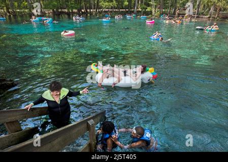 Ginnie Springs ist eine Süßwasserquelle mit einer Stärke von 2., die sich entlang des Santa Fe River in Nord-Zentral-Florida befindet. Stockfoto