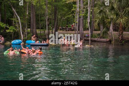 Ginnie Springs ist eine Süßwasserquelle mit einer Stärke von 2., die sich entlang des Santa Fe River in Nord-Zentral-Florida befindet. Stockfoto