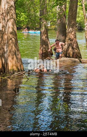 Ginnie Springs ist eine Süßwasserquelle mit einer Stärke von 2., die sich entlang des Santa Fe River in Nord-Zentral-Florida befindet. Stockfoto