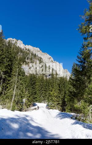 Schöne polnische WestTatry Berglandschaft im Winter. Sonniges Panorama - Dolina Kostieliska Tal im Schnee Stockfoto