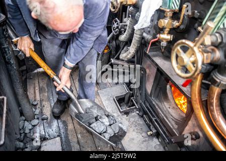 Kohle wird in die Feuerstelle einer Dampflokomotive geschaufelt. Ingenieur, Fahrer, Feuerwehrmann in der Kabine von Hunslet Sparity 0-6-0 Fütterung Kohle Brennkessel Stockfoto