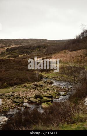 Plätschernder Bach / Fluss in Middle Black Clough, Glossop, High Peak, Derbyshire, England Stockfoto