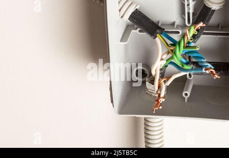 Verdrehen von elektrischen Drähten in einer Anschlussdose an der Wand Stockfoto