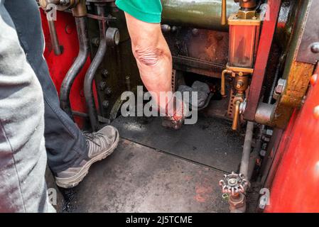 Kohle wird in die Feuerstelle eines Dampftriebwerks geschaufelt. Walisische trockene Dampfkohle auf Schaufel in der Hand des Fahrers eines Burrell-Straßenzugmotors Stockfoto