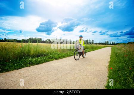 Fröhlicher Junge fährt Fahrrad im Park in der Nähe von Feld Stockfoto