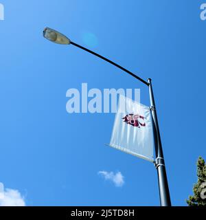 Banner der Washington State University mit Cougar-Kopf und stilisiertem Logo auf einem Lichtpfosten auf dem Campus Pullman, Washington, USA; WSU Cougars. Stockfoto