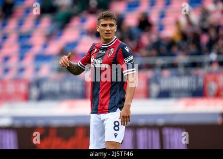 Bologna, Italien. 24. April 2022. Bologna's Nicolas Dominguez Portrait während des FC Bologna vs Udinese Calcio, italienische Fußballserie A Spiel in Bologna, Italien, April 24 2022 Quelle: Independent Photo Agency/Alamy Live News Stockfoto