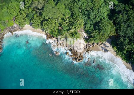 Drohne Sichtfeld der geheimen Bucht mit türkisblauem Wasser treffen den Wald auf der abgeschiedenen Insel Mahe, Seychellen. Stockfoto