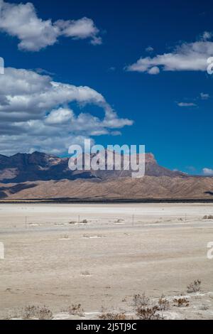 Pine Springs, Texas - Salzebenen unterhalb von El Capitan und Guadalupe Peak im Guadalupe Mountains National Park. Stockfoto