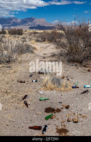 Pine Springs, Texas - Bierflaschen und anderer Müll, der in der Chihuahuan-Wüste in der Nähe des Guadalupe Mountains National Park weggeworfen wird. Stockfoto