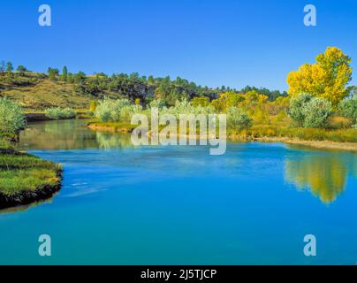 Herbstfarben entlang des Musselshell-Flusses in der Nähe von lavina, montana Stockfoto