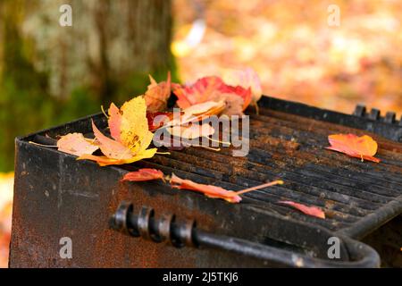 Herbstlaub auf dem Grill. Stockfoto