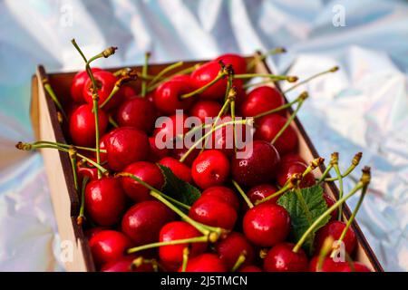 Unschärfe-Nahaufnahme-Box, Crape von dunkelroten Süßkirschen mit Schwanz und Blättern auf weißem Hintergrund. Sommerfrüchte und Beeren. Ernte und Ernte c Stockfoto