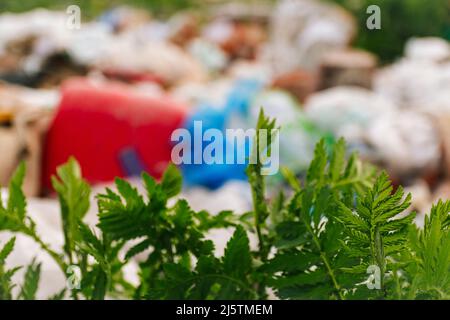 Unschärfe verschwommen riesige Mülldeponie. Konzept der Ökologie. Große Müllhaufen auf Natur grünen Gras Hintergrund, globale Erwärmung. Nahaufnahme. Verschmutzung. Stockfoto