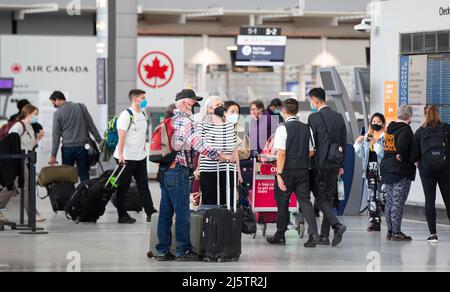 Mississauga, Kanada. 25. April 2022. Reisende mit Gesichtsmasken werden am 25. April 2022 am internationalen Flughafen Toronto Pearson in Mississauga, Ontario, Kanada, gesehen. Kanada bestätigte am Montagnachmittag 7.109 neue COVID-19-Fälle, was seinen nationalen Fall auf 3.706.792 mit 38.847 Todesfällen erhöhte, berichtete CTV. Quelle: Zou Zheng/Xinhua/Alamy Live News Stockfoto