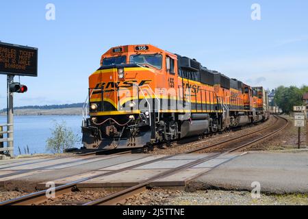 Steilacoom, WA, USA - 23. April 2022; intermodaler BNSF-Güterzug, der durch Steilacoom und über den Bahnübergang für die Pierce County Fähre fährt Stockfoto