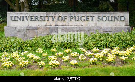 Tacoma, WA, USA - 23. April 2022; Steinschild mit Frühlingsblumen an der University of Puget Sound. Stockfoto