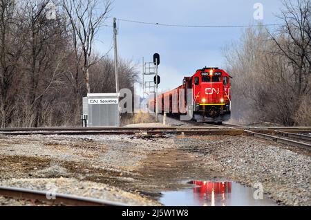 Elgin, Illinois, USA. Eine Lokomotive der Canadian National Railway spiegelt sich in stehendem Wasser wider, während sie einen Güterzug durch eine Kreuzung führt. Stockfoto