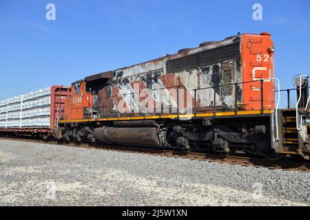 Hoffman Estates, Illinois, USA. Die Lokomotiven der Canadian National Railway führen einen Güterzug durch einen ländlichen Abschnitt im Nordosten von Illinois. Stockfoto