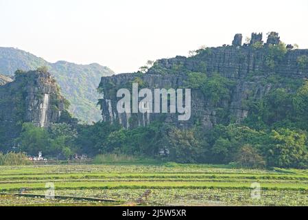 Phong cảnh Hang Múa Stockfoto