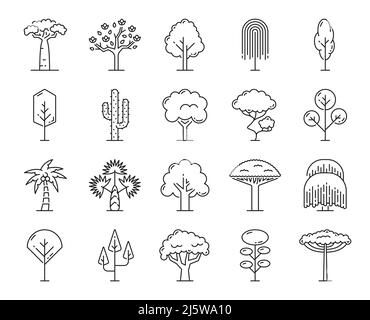 Tropische Bäume, umreißen Symbole von isolierten Strand, Dschungel Wald und Park Bäume, Vektor dünne Linie Symbole. Garten- und Waldbaumpflanzen aus Palmen, Baobab und Kakteen, Ahorn, Eiche und Birke mit Blättern Stock Vektor
