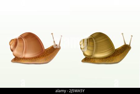 Zwei schleichende burgundische oder römische Schnecken 3D Vektorsymbole isoliert auf weißem Hintergrund. Französische Küche Feinkost, essbar und Landwirtschaft Europäische Arten sn Stock Vektor