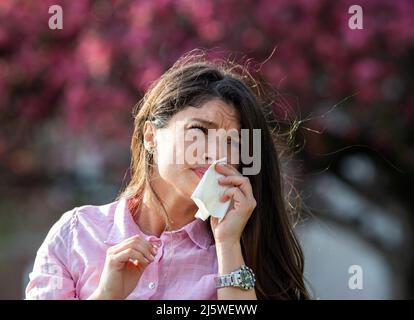 Ängstlich junge Frau, die vor blühendem Baum mit Serviette die Nase wischend. Frühjahrsallergie-Angriffskonzept Stockfoto