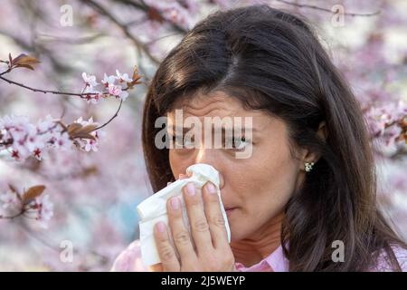 Ängstlich junge Frau, die vor blühendem Baum mit Serviette die Nase wischend. Frühjahrsallergie-Angriffskonzept Stockfoto