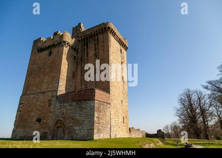 Der Clackmannan Tower ist ein fünfstöckiges Turmhaus, das sich auf dem Gipfel des King's Seat Hill in Clackmannan, Clackmannanshire, Schottland, befindet Stockfoto