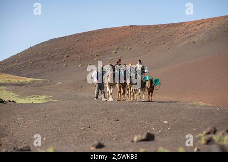 Kamelritt ist eine der touristischen Attraktionen im Timanfaya Nationalpark, Lanzarote. Stockfoto