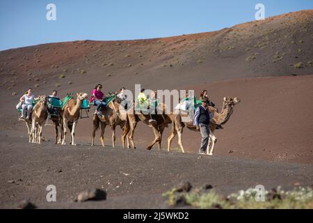 Kamelritt ist eine der touristischen Attraktionen im Timanfaya Nationalpark, Lanzarote. Stockfoto