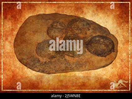 Egg Dino: Ich möchte diese Leidenschaft mit allen teilen. Sie können es verwenden, um dekorative Bilder für Ihr geliebtes Zuhause zu erstellen oder Artikel zu dekorieren Stockfoto