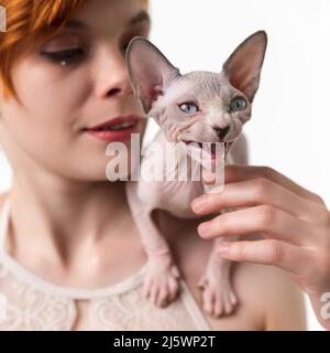 Sphynx Hairless Kätzchen mähen, sitzen auf der Schulter der rothaarigen jungen Frau. Nahaufnahme, Studioaufnahme auf weißem Hintergrund. Selektiver Fokus Stockfoto