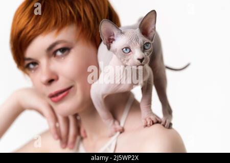 Kanadische Sphynx-Katze, die in defensiver Haltung auf der Schulter einer jungen Rothaarige mit kurzen Haaren steht. Selektiver Fokus auf Jungtiere, geringe Schärfentiefe. Stockfoto