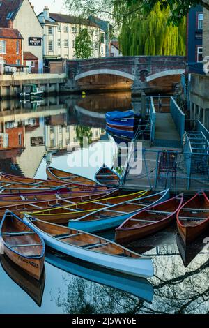Frühlingsmorgen auf dem Fluss Wensum in Norwich, Norfolk, England. Stockfoto