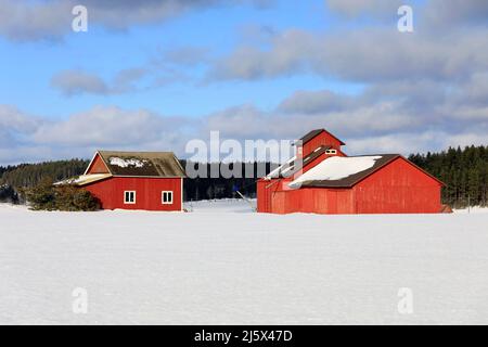 Rotes, altes Bauernhaus und Holzkorntrockner im Feld an einem klaren Tag im Februar mit schneebedecktem Feld und blauem Himmel und Wolken. Stockfoto