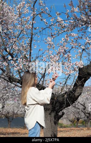 Blonde junge Frau, die weiße und rosa Blumen unter einem Mandelbaum mit blauem Himmel aufhob Stockfoto