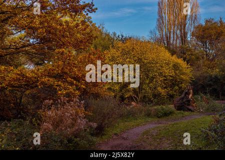 Robinswood Hill, Gloucester Stockfoto