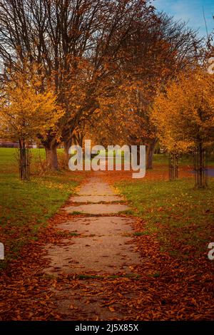 Robinswood Hill, Gloucester Stockfoto