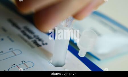 Die Menschenhand quetscht Flüssigkeit in einem Plastikröhrchen, um zu Hause auf Coronavirus zu testen Stockfoto