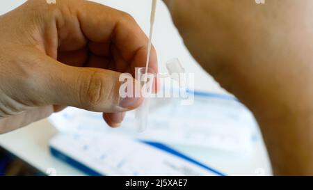 Menschliche Hände, die Selbsttests an Coronavirus durchführen und einen Tupfer in Reagenz rühren Stockfoto