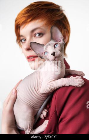 Verspielte Sphynx Hairless Kätzchen, die aufschauen, sitzen auf der Schulter rothaarige junge Frau mit kurzen Haaren. Selektiver Fokus auf Hauskatze Stockfoto