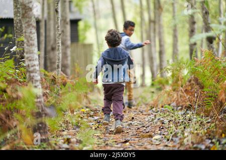 Brüder, die im Wald unterwegs sind Stockfoto