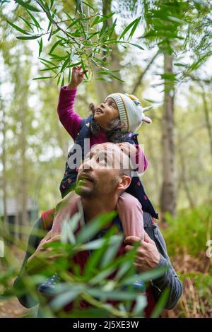 Vater, der die Tochter auf den Schultern unter dem Ast in den Wäldern trägt Stockfoto